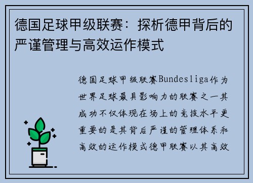 德国足球甲级联赛：探析德甲背后的严谨管理与高效运作模式